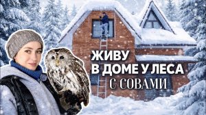 СОЗДАЮ УЮТ В ДОМЕ II РАБОТА НА УЧАСТКЕ