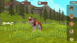 Важная информация