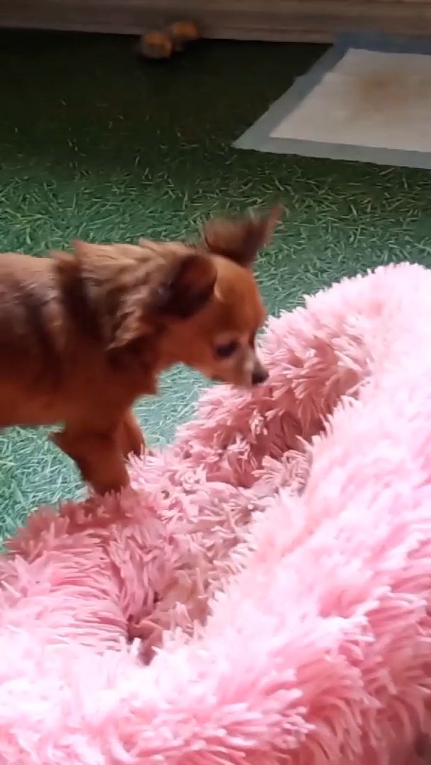 Кто лежал на моей кровати и сдвинул её с места?