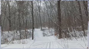 Лыжная прогулка