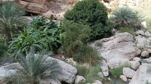 Здесь иногда приходится скакать по камням!