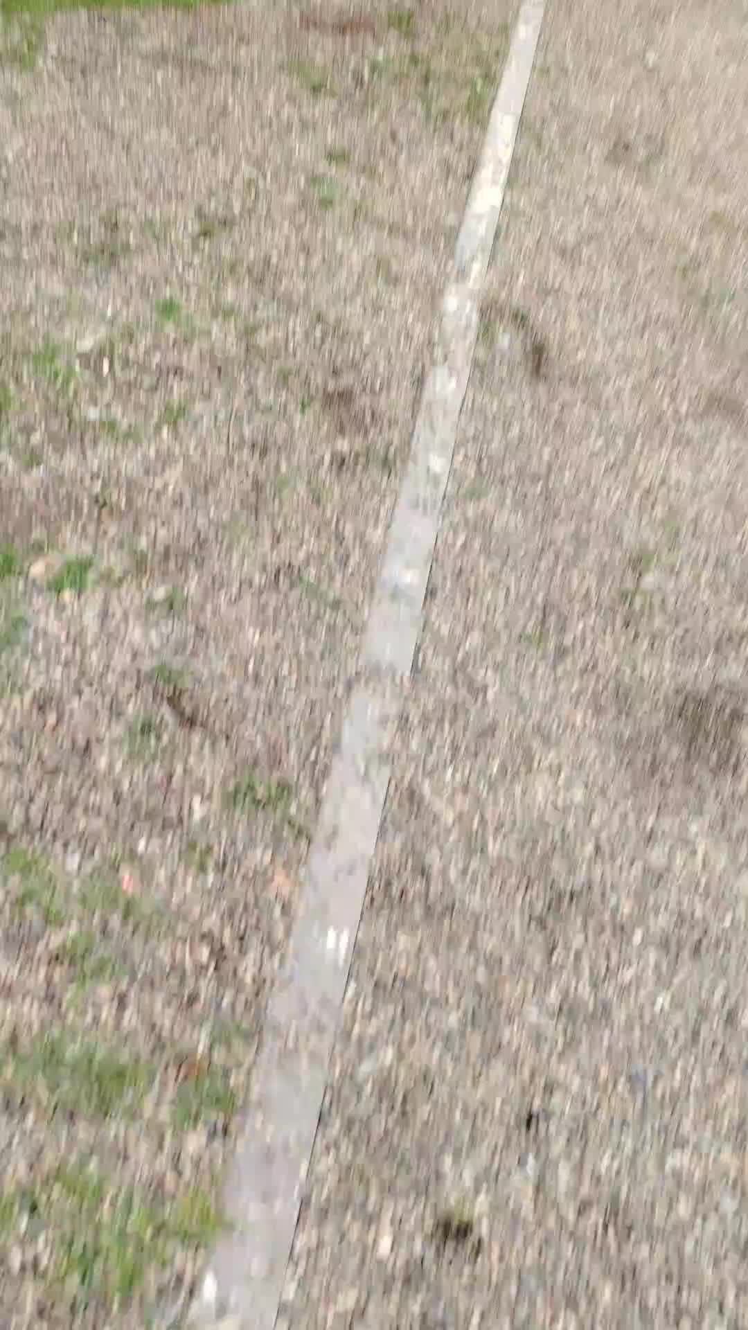 стримбезы Сани смотреть онлайн