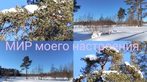 23.02.26 Дача Выборг чистим снег