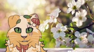 позадовайте пожалуйста