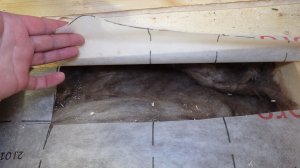 Мог бы быть НЕПЛОХИМ домом, но...