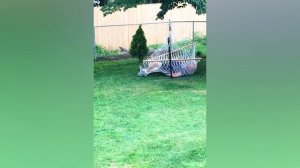 Юмор,приколы,испуг72