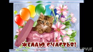 День ласкового котенка