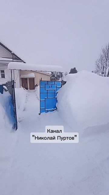 Новые-старые видео.Плагиат процветает ☹️