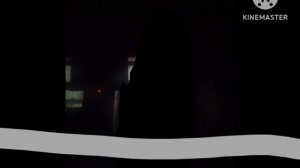 slovakiawhatverywolfsix.avi