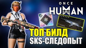 SKS-Следопыт НОВАЯ ИМБА? | билд на максимум урона в Once Human