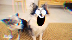 Magic Pets If The Darkness Took Over