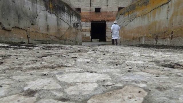 Доктор Роганов - Утренний старт!