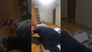 Сборник с Басиками