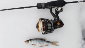 Десна. Мормышинг 28 февраля 2026 года