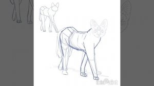 Рисую животных, день 1