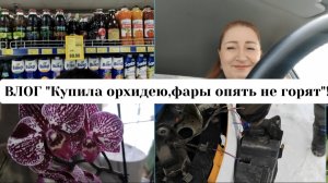ВЛОГ "Купила орхидею🌹фары опять не горят!)"