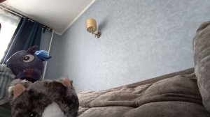 день рождения Евы