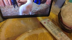 Добрый вечер субботы!