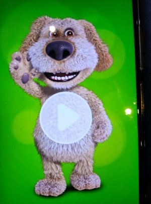 бен говорит правду