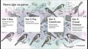 Биология 5 класс параграф 12 РАЗНООБРАЗИЕ ОРГАНИЗМОВ И ИХ КЛАССИФИКАЦИЯ краткий пересказ