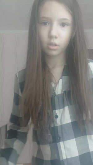 всем привет мои коты воители