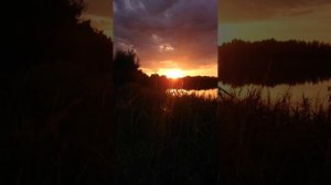 единение с природой.mp4