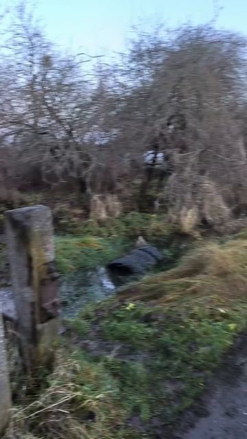 Продам участок в Калининграде📞+7(950) 677-89-98