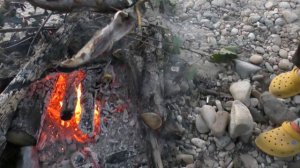 Экспедиция по реке Зее . На  вкусном подножном корме .Токинско - Становой парк