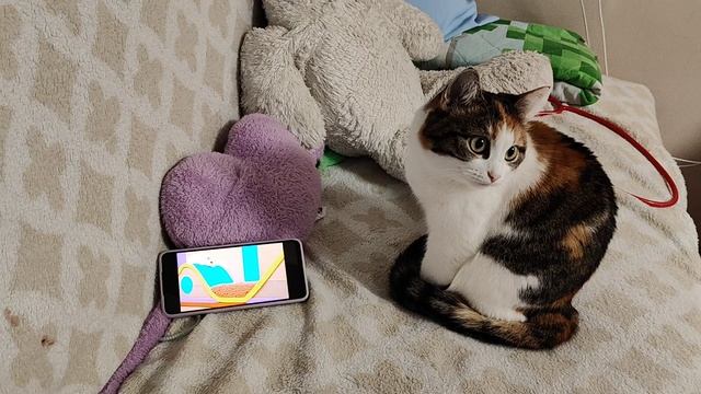 Шипа и телефон 3