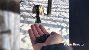 г.Липецк.р-он_НЛМК_24.01.26