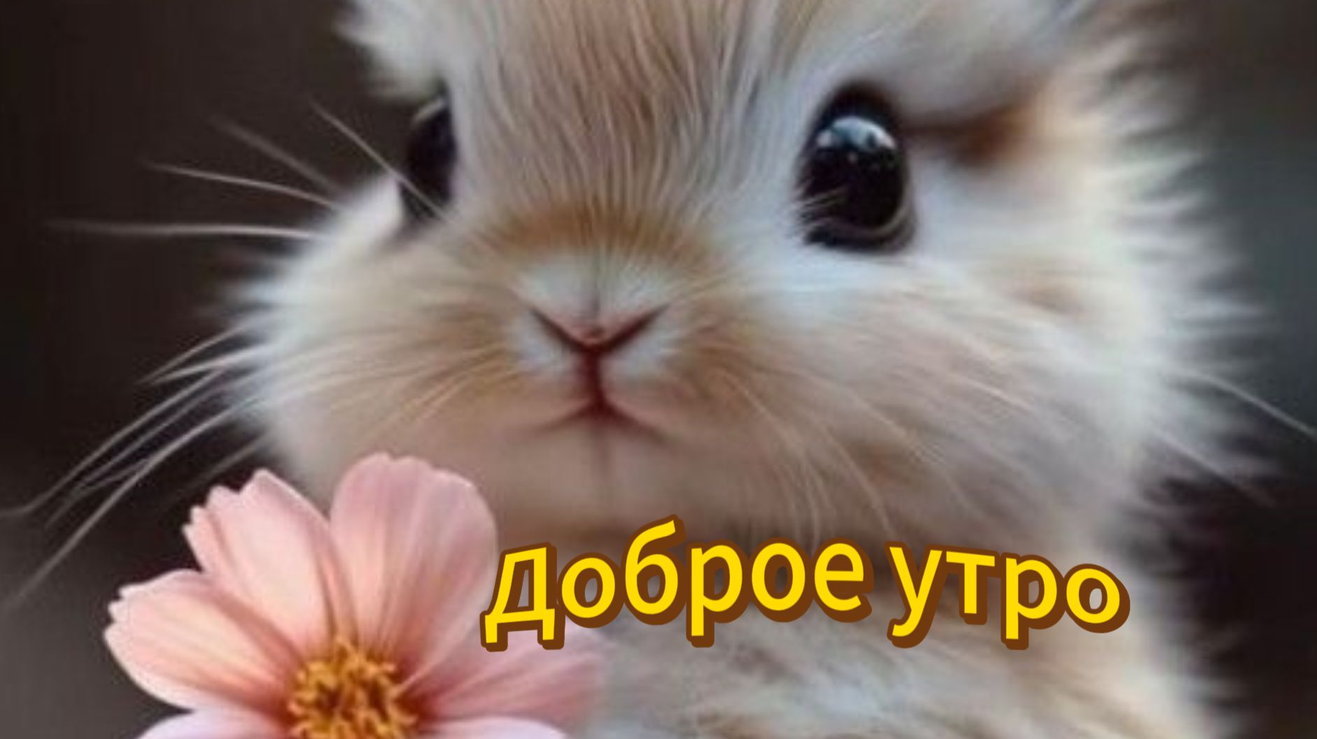 Доброе утро - Встречаем весну! 🌸 Яркие открытки и тёплые пожелания смотреть онлайн