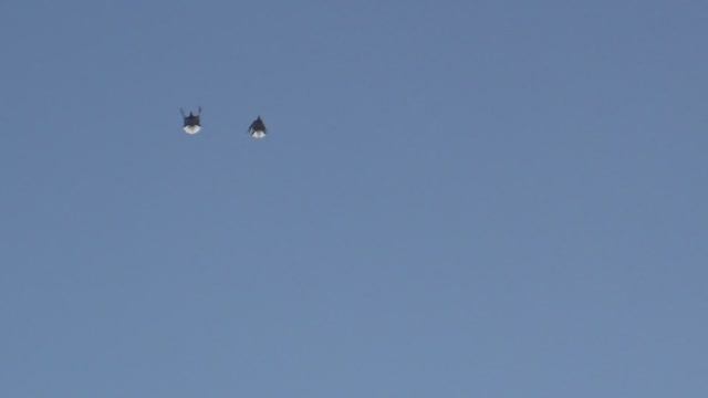 Cерпастые голуби 28.02.26г смотреть онлайн