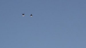 Cерпастые голуби 28.02.26г