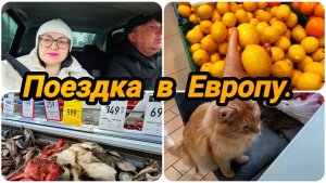 УЕХАЛИ В " ЕВРОПУ" 😀👍 ЧТО ОТ ТУДА ПРИВЕЗЛИ 🐟🐠🐡