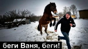 Всё пошло не по плану! | Орловская обл, Колпнянских р/н д. Просека