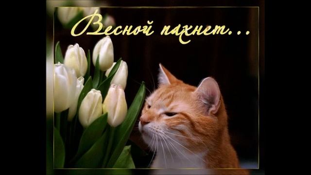 Запахло весной 2