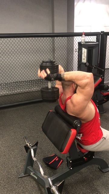 Французский жим с гантелью сидя 2мя руками