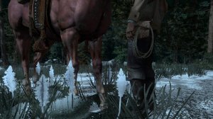 Red Dead Redemption (PS5 Pro) - серия 65 - Многовато испытаний