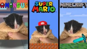 ИГРОВОЙ РЕМИКС ПО КОТИКУ! АМОГУС И МАРИО КОТИК ПОЁТ ПЕСЕНКИ И МУЗЫКУ ИЗ ИГР Я РЖУ БЛИН РЕАКЦИЯ