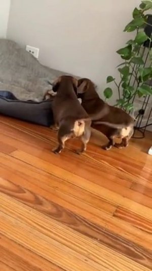 Вызов принят 😄😁😁 (звук)