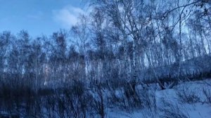 Зимний Аркаим (2020)