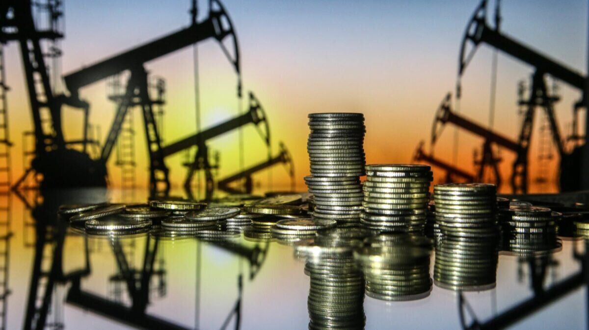 Аферы века: «сырьевая экономика» (2022)