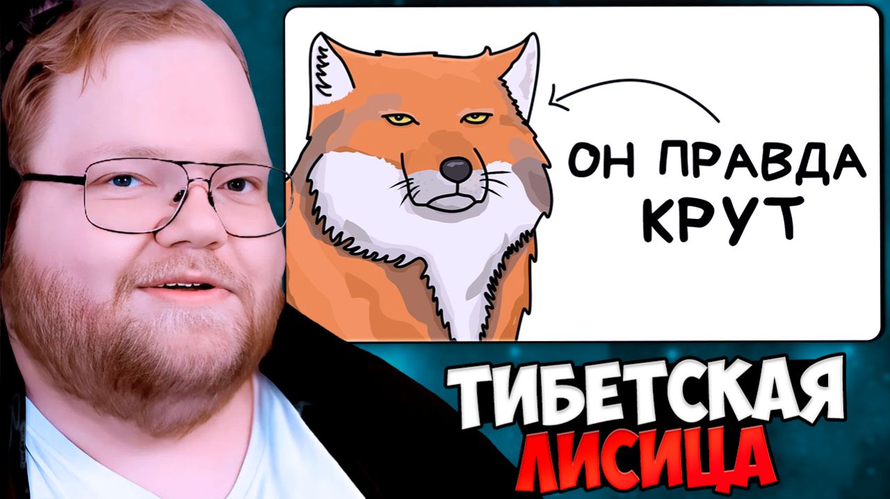 T2x2 СМОТРИТ: Ты - Тибетский Лис (И ТЕБЕ РЕАЛЬНО ПОВЕЗЛО) смотреть онлайн