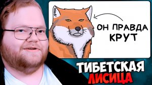 T2x2 СМОТРИТ: Ты - Тибетский Лис (И ТЕБЕ РЕАЛЬНО ПОВЕЗЛО)