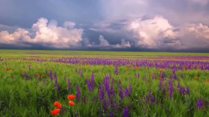 Исаак Шварц. Вальс.  Isaac Schwartz. Waltz