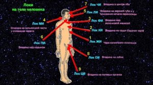 Разбор Терминов Волшебной Культуры от 28.02.26