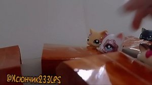 Типичная школьная контрольная 😔 Извините что в плохом качестве, просто видео на скорую руку 💔