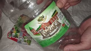 Посев петунии и перца на рассаду