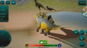 выживание стеги