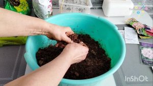 Немного покупок// Почвобрикет и посевы//